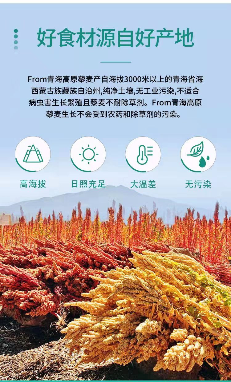 FROMQH 青海省海北州  白藜麦 500g