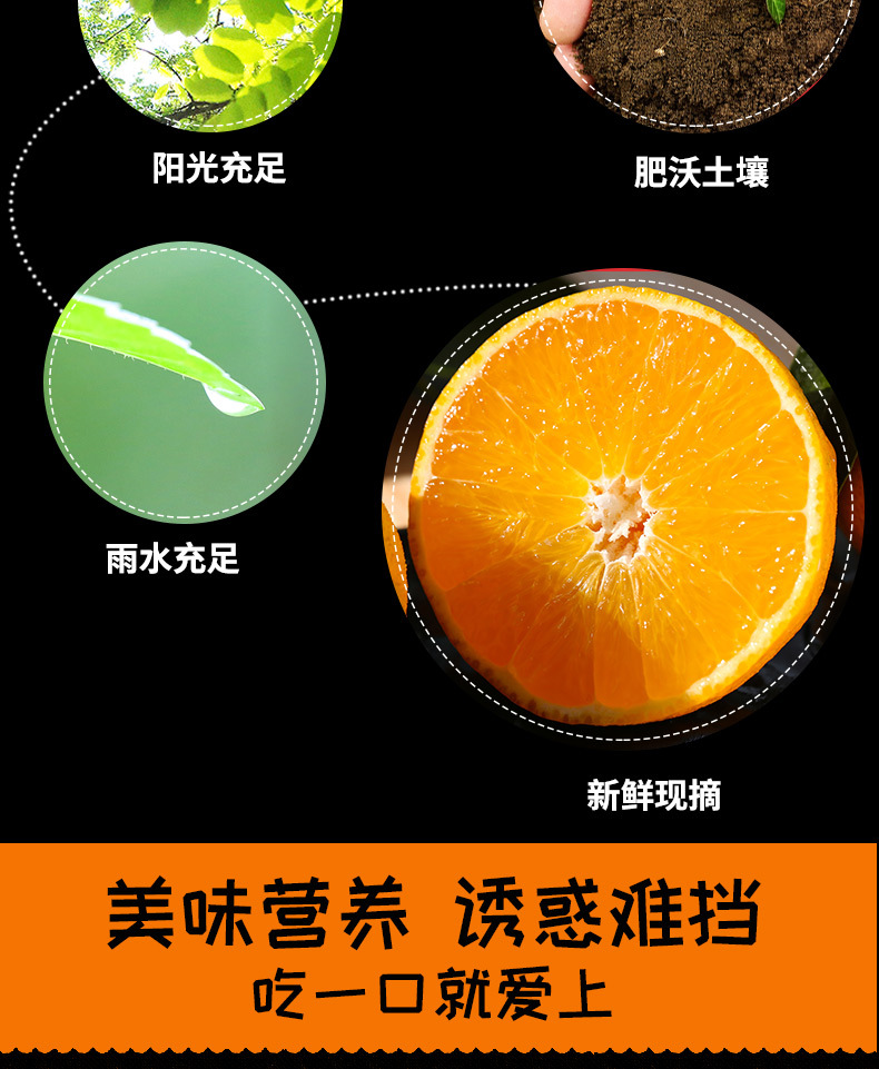 2021年9月上线【坏果包赔】四川爱媛38号果冻橙 水果新鲜当季现摘柑橘橙子蜜桔