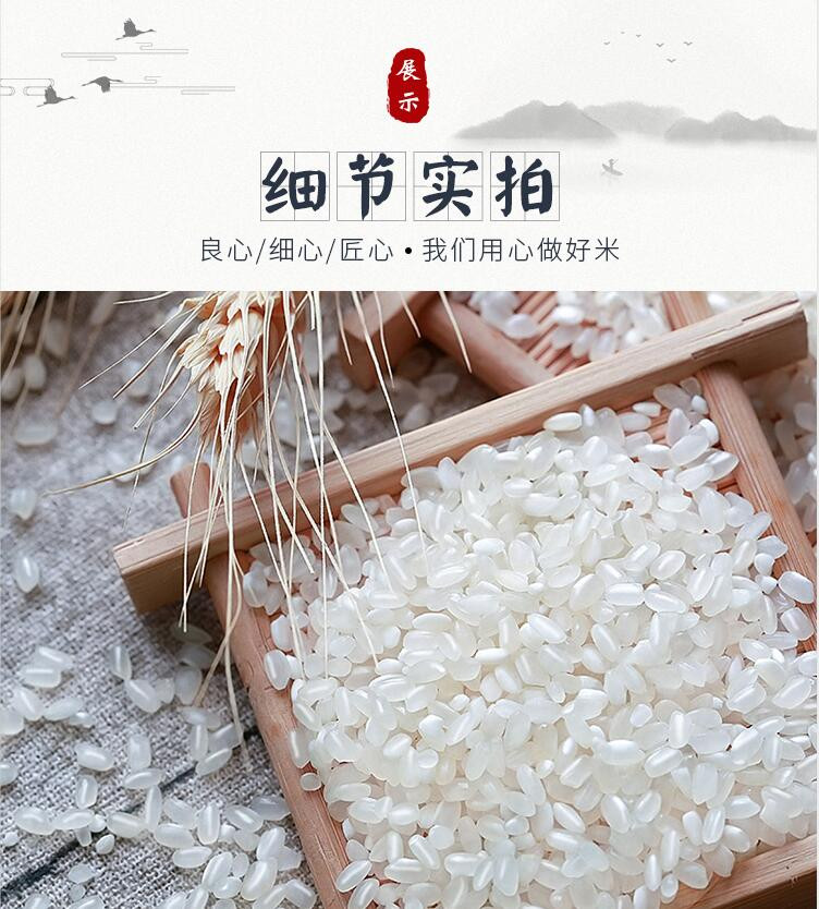 【24-48快速发货】青禾良田 10斤新米东北大米5kg珍珠米