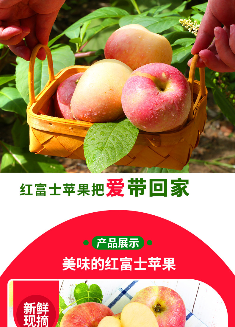 【坏果包赔】红富士苹果 新鲜5斤苹果应季水果脆甜多汁山西红富士苹果