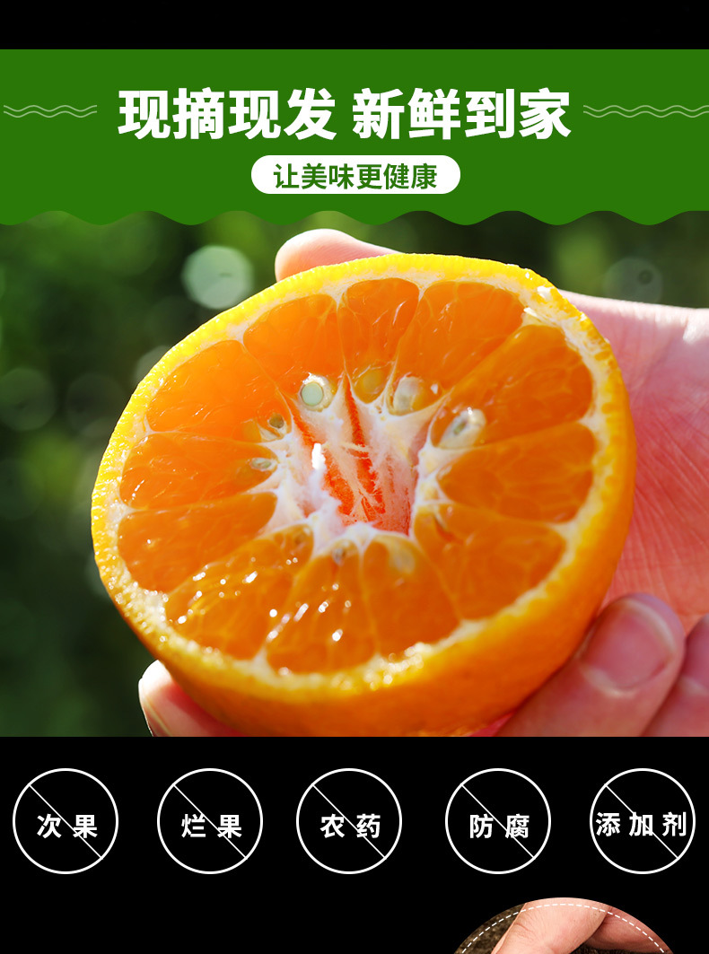 【坏果包赔】5斤广西武鸣沃柑 现摘新鲜橘子产地直发清甜多汁当季水果