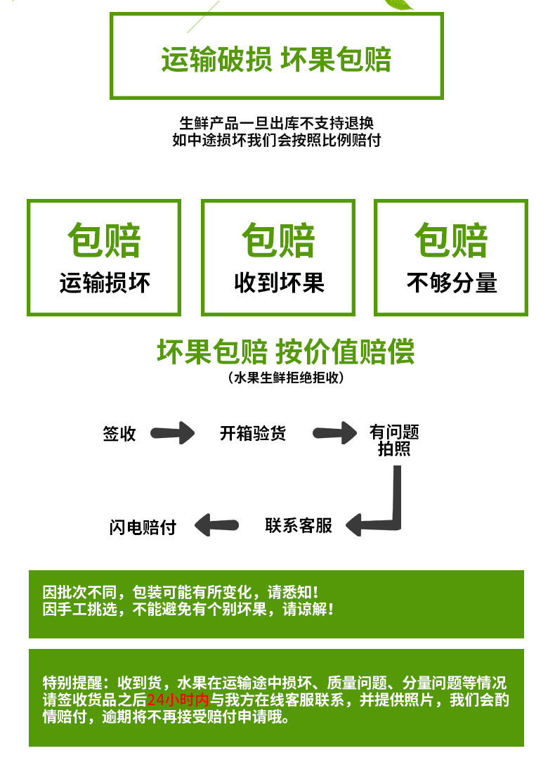 雪梨推荐【坏果包赔】礼盒装丹东九九红颜牛奶草莓 现摘当季新鲜水果奶油草莓