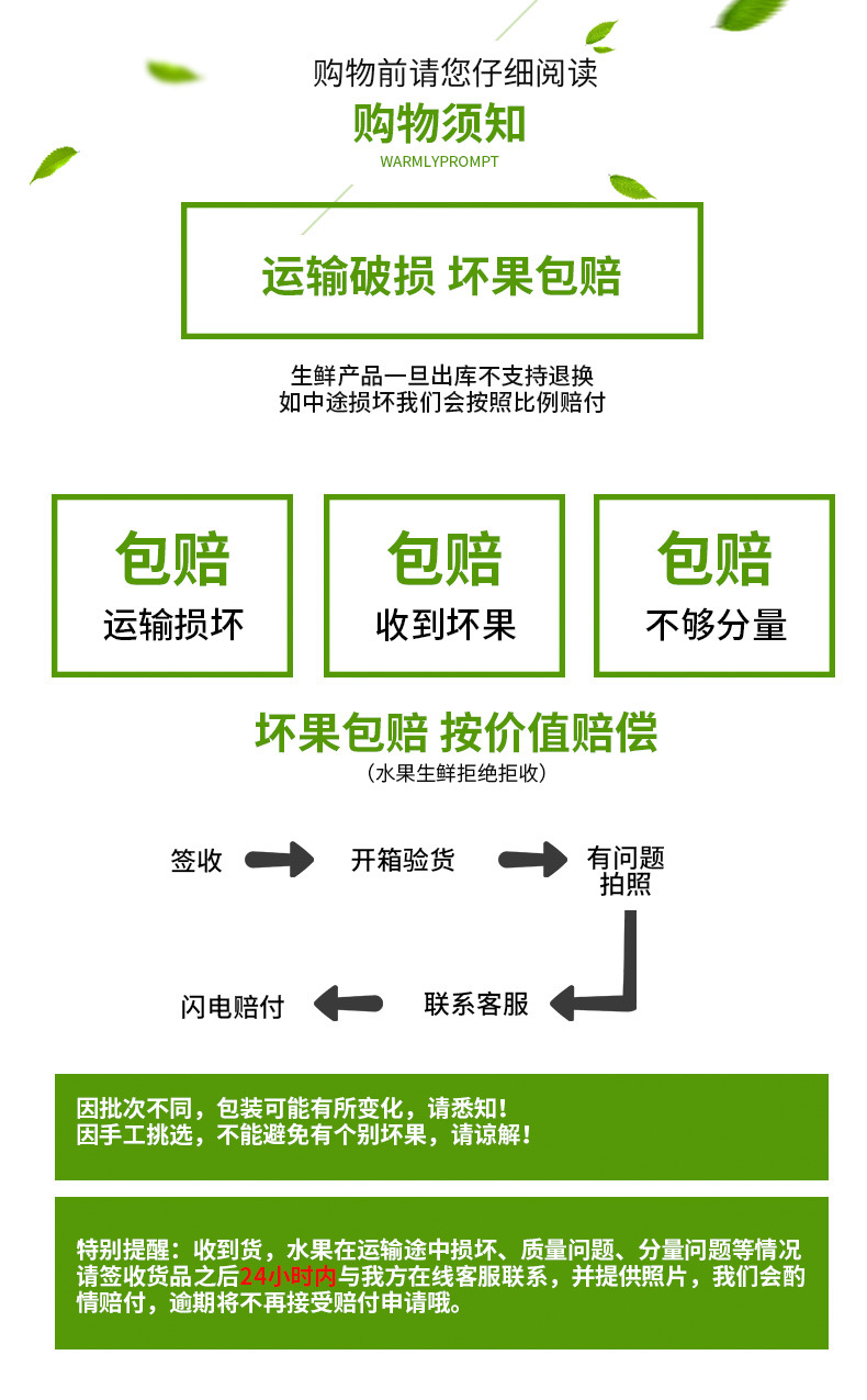 领券立减11元【坏果包赔】5斤西州蜜哈密瓜 新鲜时令水果应季蜜瓜果园直发 多规格 5/3斤可选