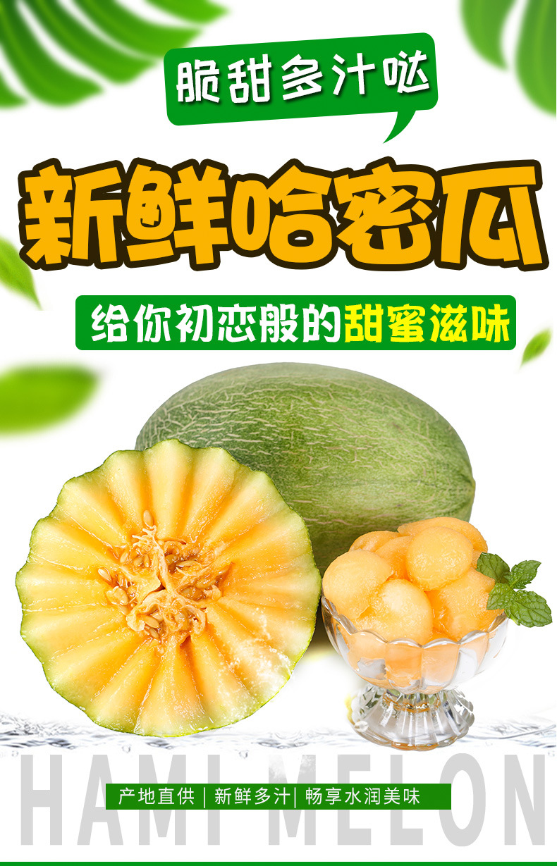 领券立减11元【坏果包赔】5斤西州蜜哈密瓜 新鲜时令水果应季蜜瓜果园直发 多规格 5/3斤可选