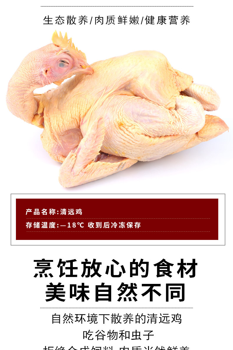 农家自产 清远鸡广东清远鸡散养走地鸡生鲜鸡肉