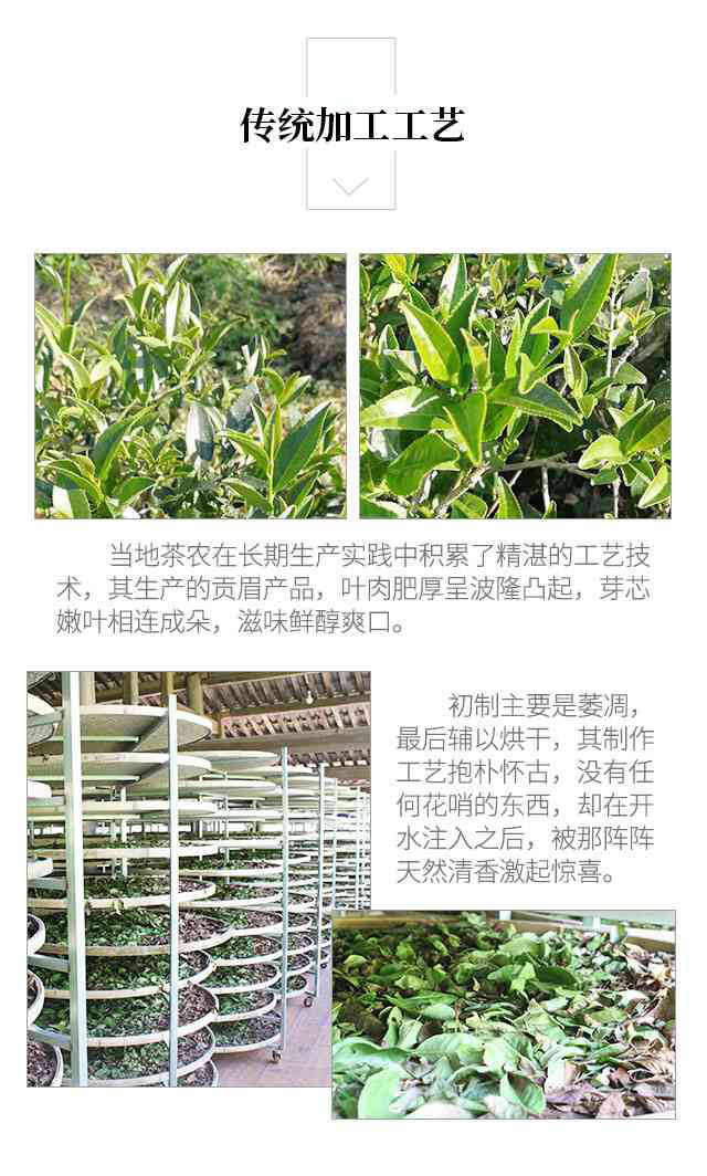 【建阳扶贫馆】邮政助农，精准扶贫——南坑小白茶（单品二级）