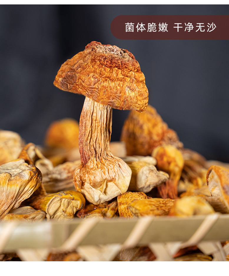 李食记 【福建莆田】 姬松茸252g 菌体嫩脆 味纯鲜美 金黄色泽