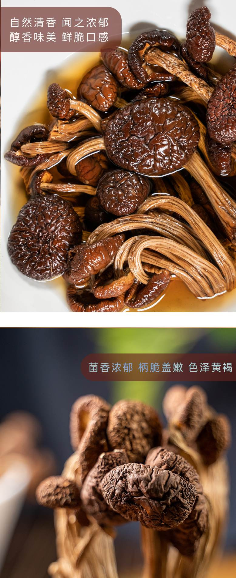 李食记 【福建莆田】 茶树菇252g 菇柄脆嫩 味道鲜美 气味清香