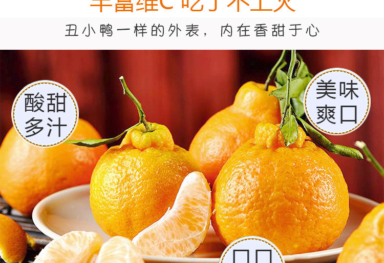 四川丑橘不知火 新鲜水果丑橘不知火丑柑丑八怪丑桔子 多种规格可选