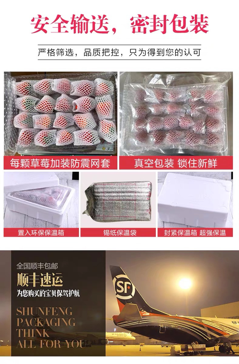 【领券下单立减20】 顺丰直达 新年礼物现货丹东草莓 新鲜九九草莓甜牛奶草莓 应季孕妇水果2斤装