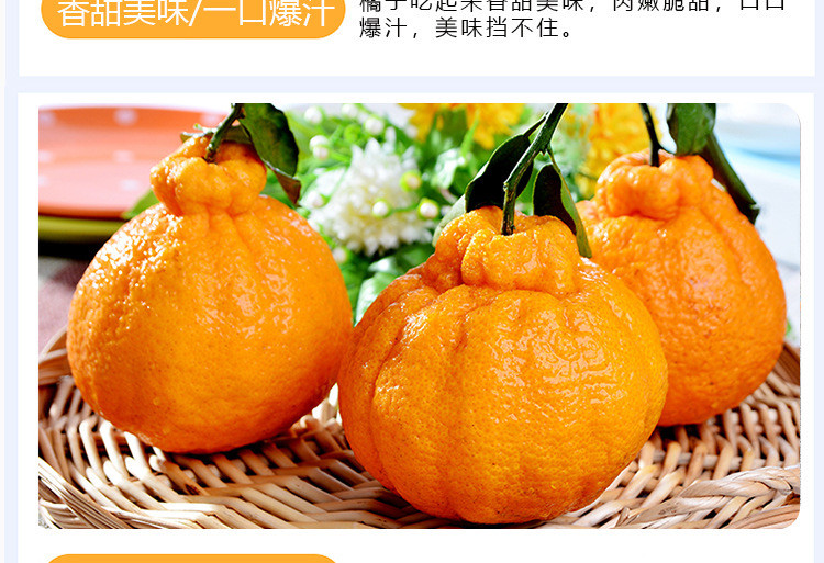 四川丑橘不知火 新鲜水果丑橘不知火丑柑丑八怪丑桔子 多种规格可选