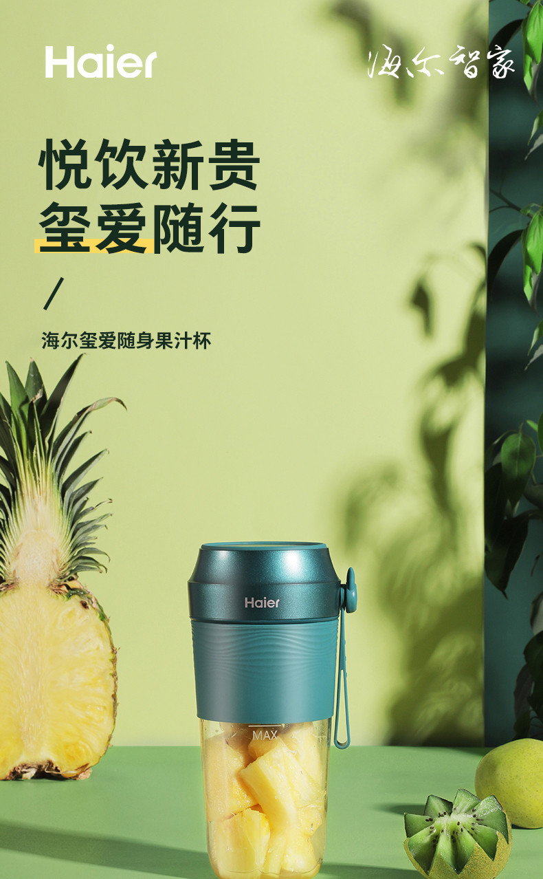 海尔 Haier 榨汁机随行杯 快速料理机搅拌机  便携式果汁机 LD3004F