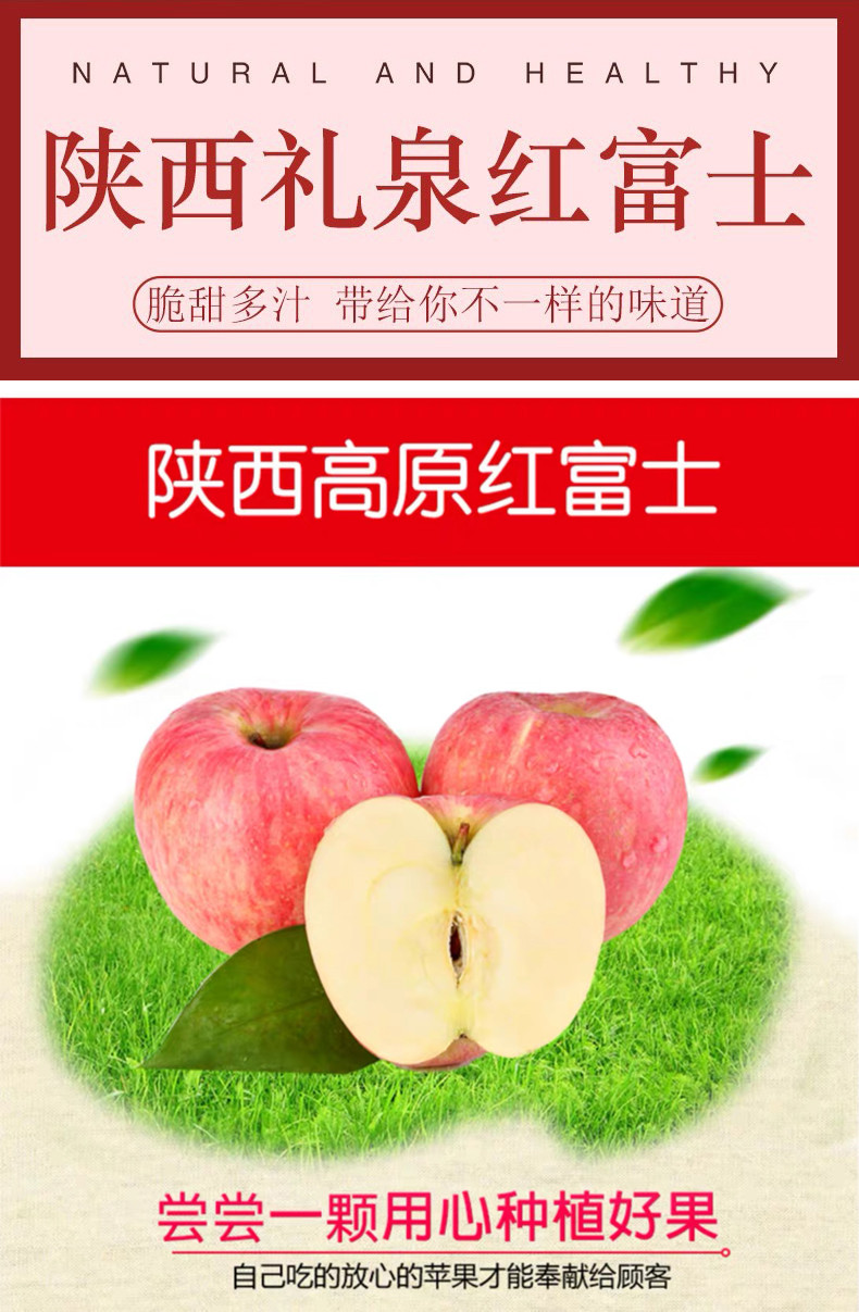 【领券下单立减10元】5斤装 陕西礼泉红富士苹果 时令水果 过节礼品