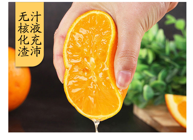 【5斤装】湖南产地直发 麻阳冰糖橙 新鲜橙子 新鲜当季水果 60-65mm 28-34个