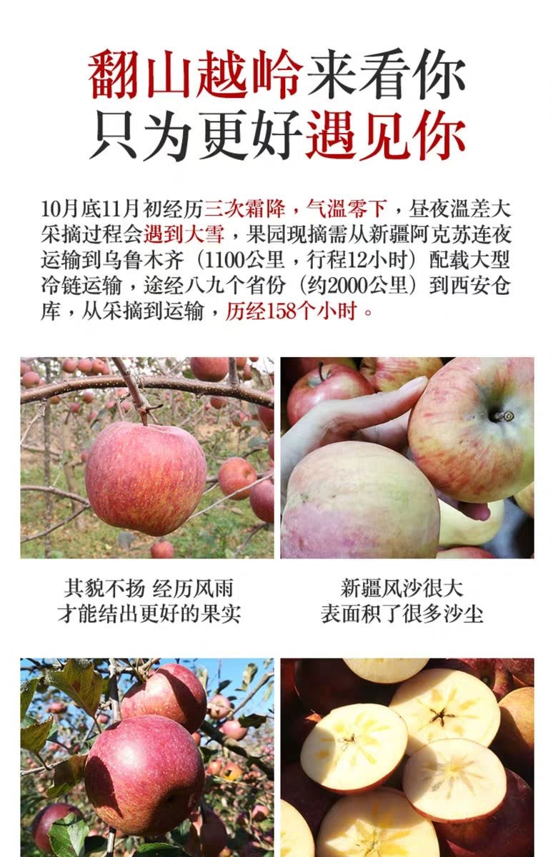 新疆阿克苏苹果 带箱10斤/果径80mm18粒左右 年货礼盒 生鲜 新鲜水果