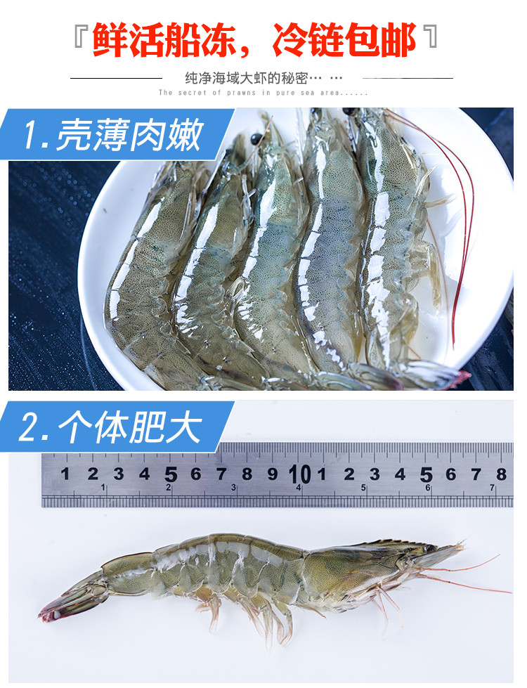 天香罗青岛大虾鲜活海鲜水产活虾基围虾4斤 超大冻虾对虾海虾鲜虾青虾