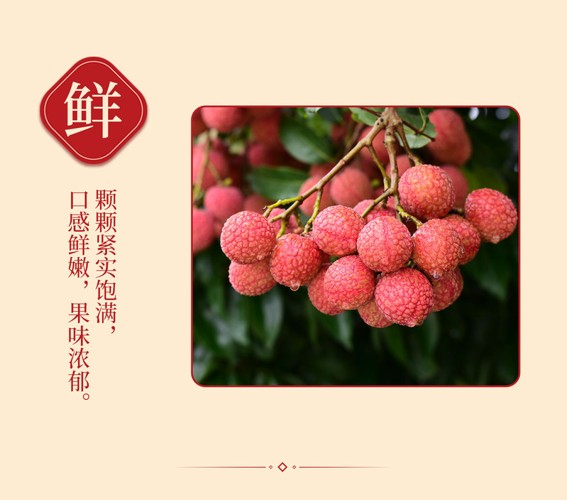 【佛山馆】美荔邮你，抢占先机邮储客户专属荔枝礼盒白糖罂4-5斤/箱