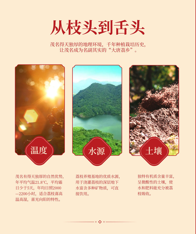 【佛山馆】美荔邮你，抢占先机邮储客户专属荔枝礼盒白糖罂4-5斤/箱