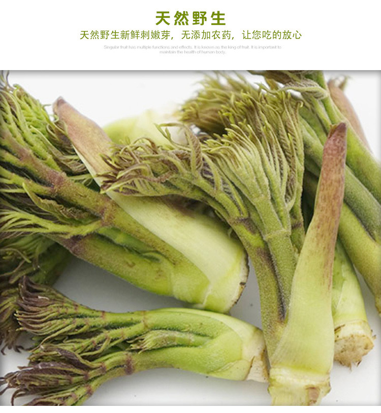 【精品】山野菜全国小礼包：2斤刺嫩芽、2斤大叶芹，仅售128元