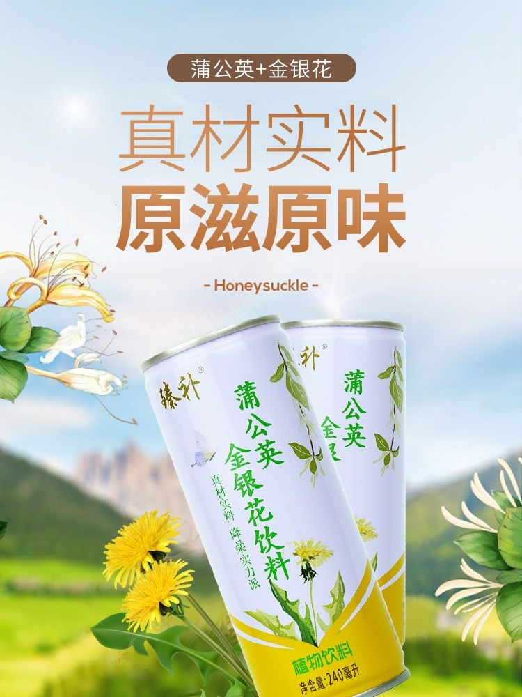 臻补 蒲公英金银花饮料240ml*8罐/箱 （直播链接）