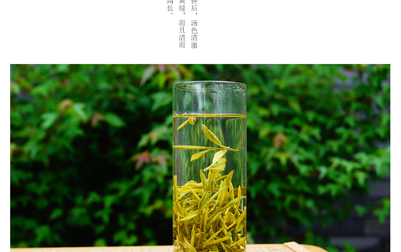 龙合新茶头采嫩芽安徽明前春茶特级黄山毛峰毛尖75g罐装绿茶茶叶