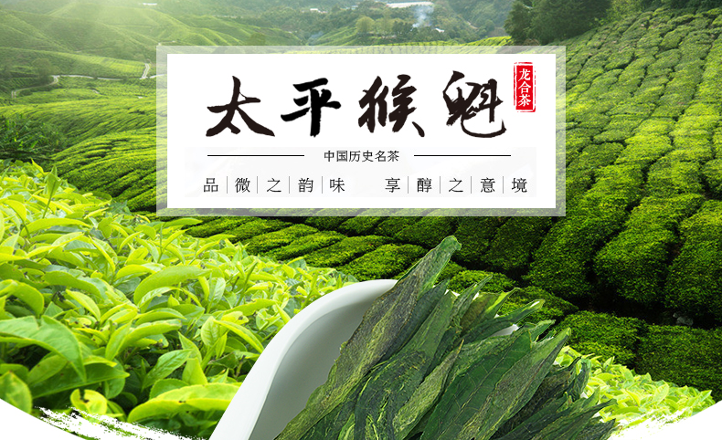 龙合新茶春茶安徽黄山雨前一级太平猴魁正宗机制布尖绿茶50g茶叶