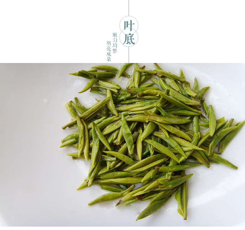 国书天香 雀舌200g 茶叶 雀舌绿茶茶叶 明前茶南山寿眉翠柏