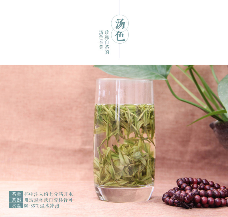 国书天香 珍稀白茶100g 安吉原产 茶叶 雨前罐装茶叶绿茶