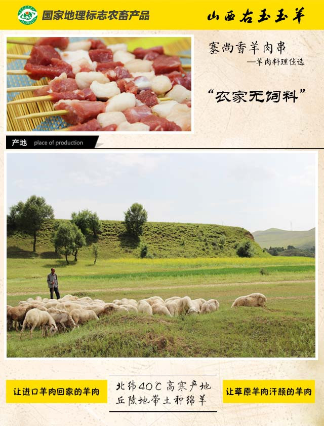 【电商扶贫.右玉】塞尚香右玉羊肉 羊肉串30串 200g*3