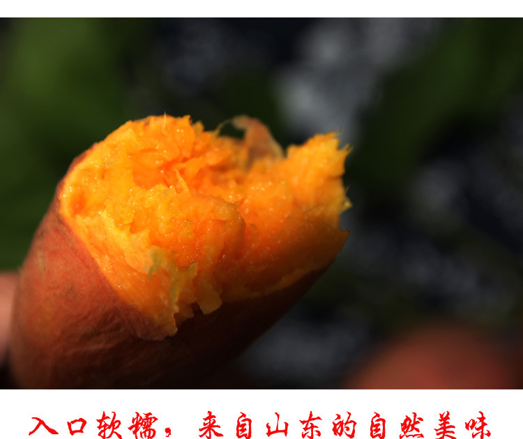 农家自产 【泰安新泰】山东烟薯25号 农家地瓜
