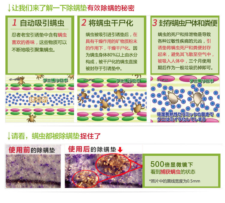 【邮乐鹰城】日本渔生堂除螨垫进口新型除螨贴5片/袋