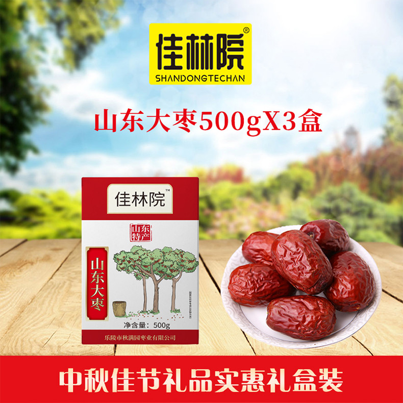 【德州馆】佳林院山东特产山东大枣500gX3盒礼盒装送礼休闲零食煮粥泡茶煲汤红枣包邮不含部分偏远地区