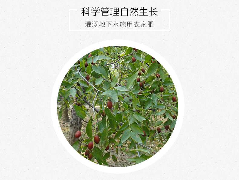 【佳林院泡茶煮粥枣圈400克X2袋山东特产乐陵红枣口感香甜绵软有嚼劲煲汤实惠袋装包邮部分偏远地区除外