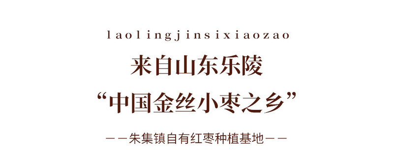 佳林院 【强国兑换  邮政快递】佳林院 乐陵鲜甜金丝小枣580克精致袋装山东特产馈赠枣礼