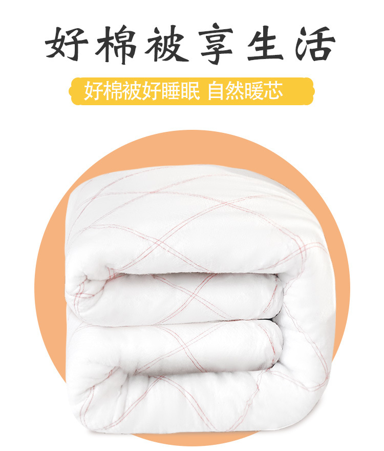 暖西施 新疆棉絮棉被褥子垫被棉花被子被芯春秋冬被加厚