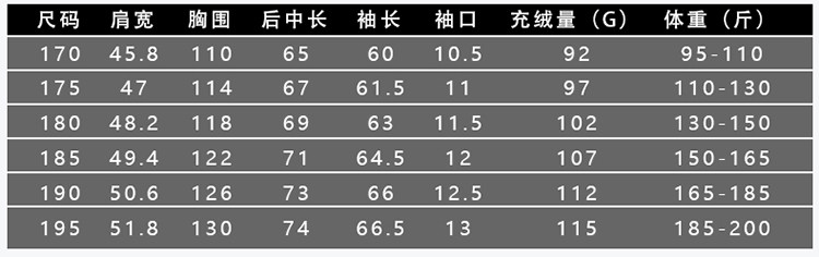 LANSBOTER/莱诗伯特 立体压花石墨烯蓄热新国标鸭绒羽绒服秋冬新款男士防风立领羽绒服