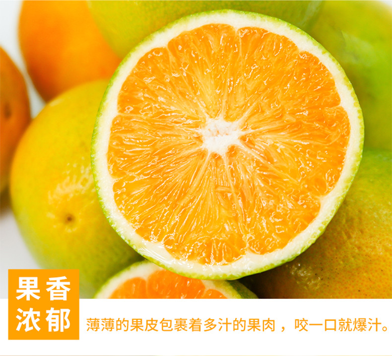 【邮政农品】麻阳冰糖橙3斤/5斤装包邮 预售
