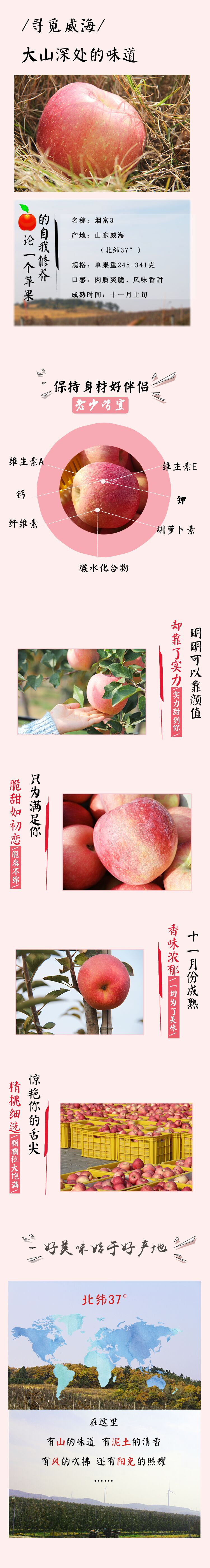 祝果烟台红富士3号苹果香甜大个糖心苹果