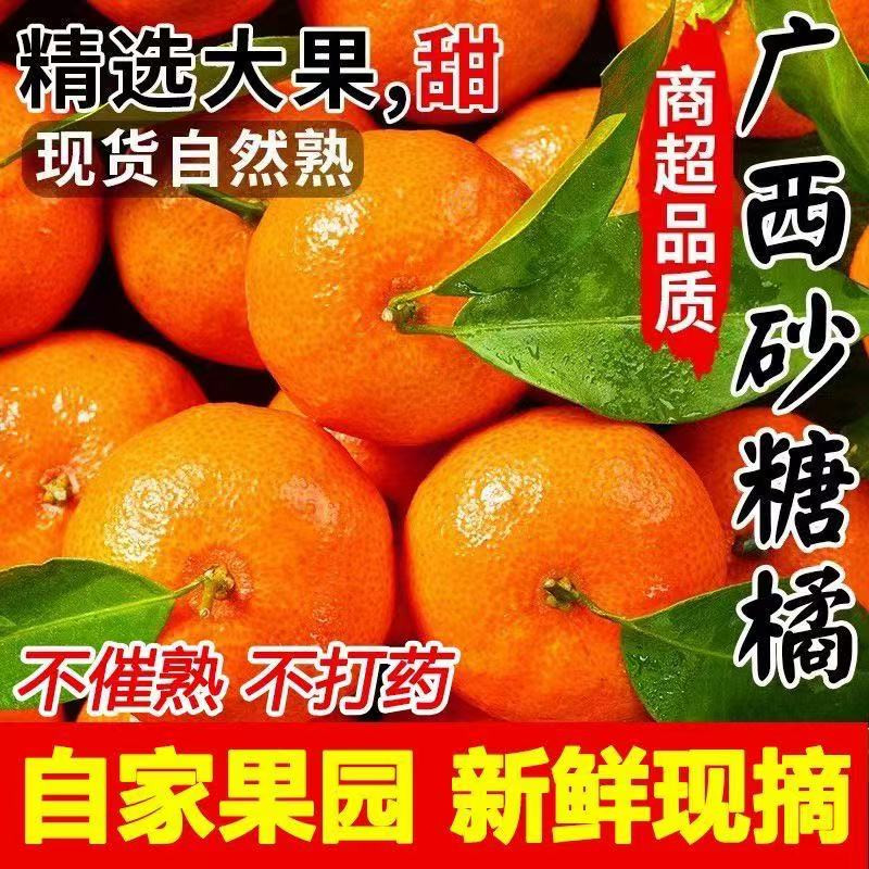 邮鲜生 广西桂林砂糖橘应季水果手剥桔子沙糖桔