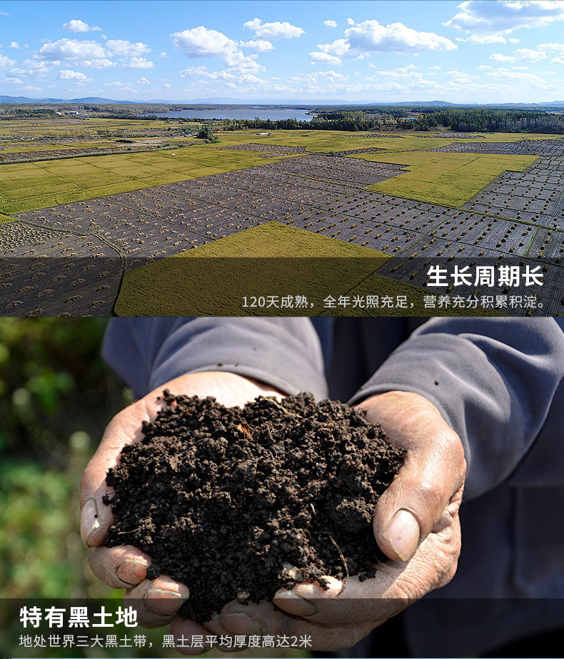 千里辽河 真空长粒香米2.5kg