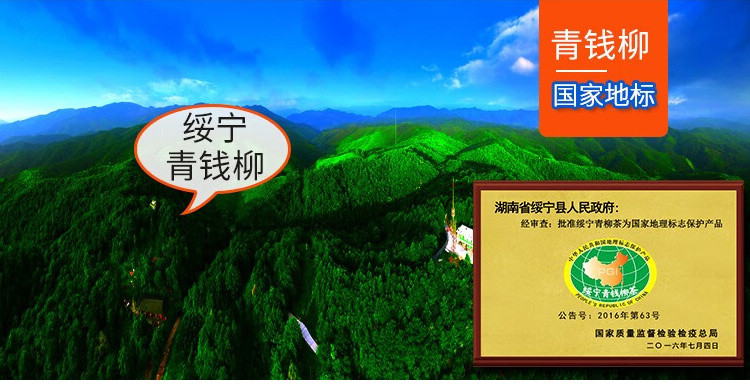 百里苗寨 绥宁青钱柳茶60g买一送一