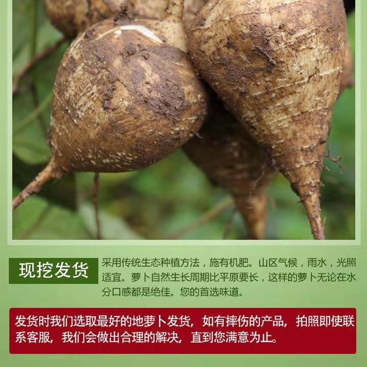 贵州铜仁江口黄牯山地萝卜5斤装带土发货,。注新：新鲜水果疆内蒙天津北京等地不发货