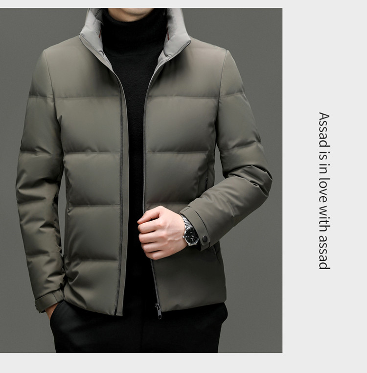 LANSBOTER/莱诗伯特 灰鹅绒羽绒服男士冬季新款立领短款加厚保暖8858