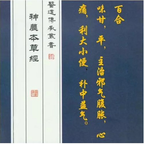 【隆回 百合干】隆回希品龙牙百合干160g*2/盒