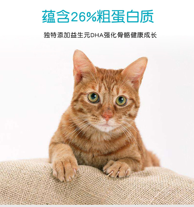 一贯 猫粮2.5KG成猫专用鱼肉味海洋鱼深海鱼发腮猫咪主粮5斤