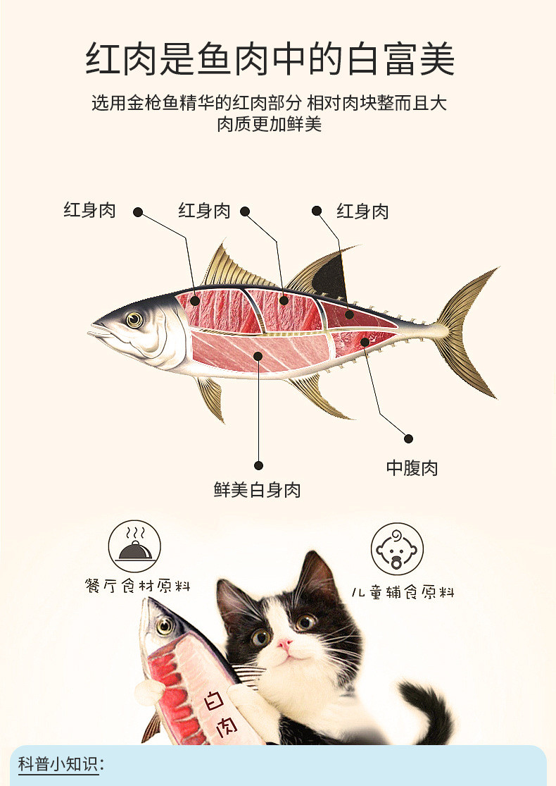 道力其 猫罐头170g金枪鱼猫咪零食成猫幼猫湿粮 猫零食补水罐头