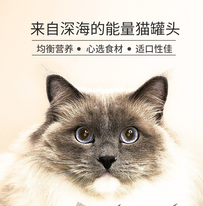 一贯 猫罐头猫零食猫湿粮金枪鱼鸡肉虾170g*12罐整箱