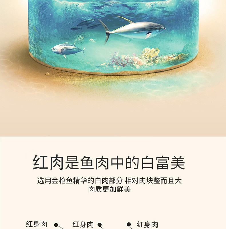 一贯 猫罐头猫零食猫湿粮金枪鱼鸡肉虾170g*12罐整箱