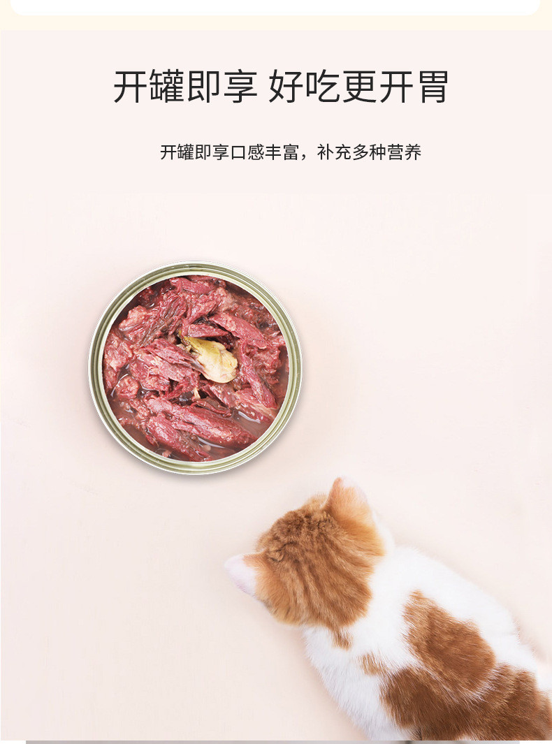 一贯 猫罐头猫零食猫湿粮金枪鱼鸡肉虾170g*12罐整箱