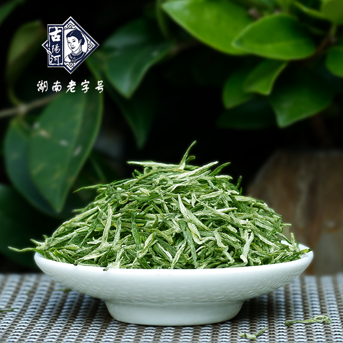 古阳河 八彩古丈毛尖 【2024明前茶】50g*1罐